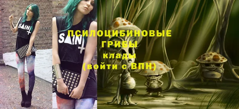 Галлюциногенные грибы MAGIC MUSHROOMS  Георгиевск 